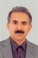Hossein Shamshiri Shurbakhorlou